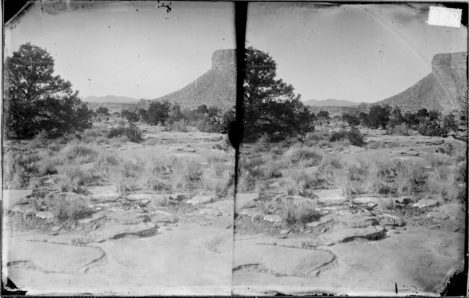 PLATEAU OF THE GRAND CANYON, COLORADO RIVER - NARA - 523999
