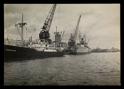 Port w Szczecinie 1949 (66046309) photo