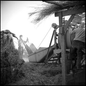 Poston, Arizona. Adobe factory at Camp Number 1 - NARA - 536626