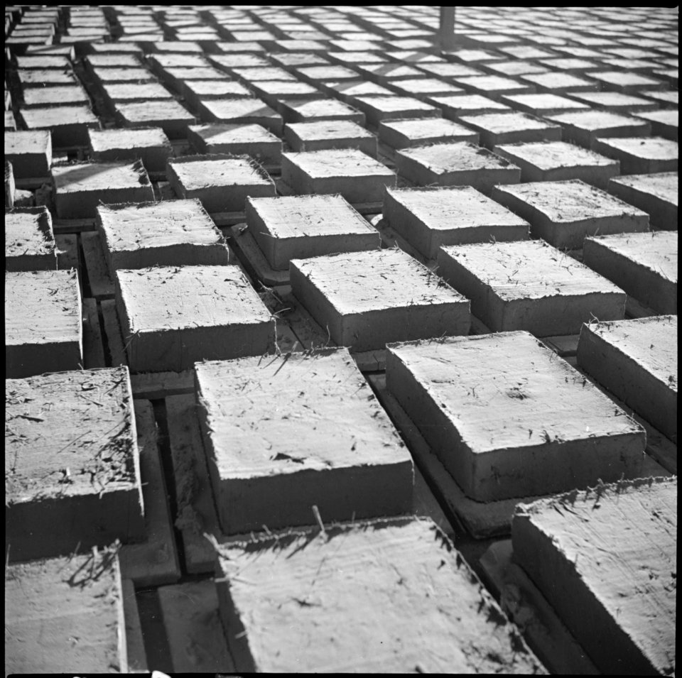 Poston, Arizona. Adobe factory. Drying racks - NARA - 536623