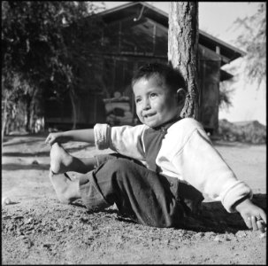 Poston, Arizona. Albert Yava Jr. seems to be enjoying himself under a tree near his new home in Bl . . . - NARA - 539888