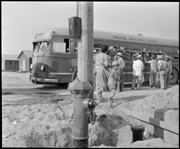 Poston, Arizona. Arrival of evacuees of Japanese ancestry at this War Relocation Authority center. - NARA - 536309