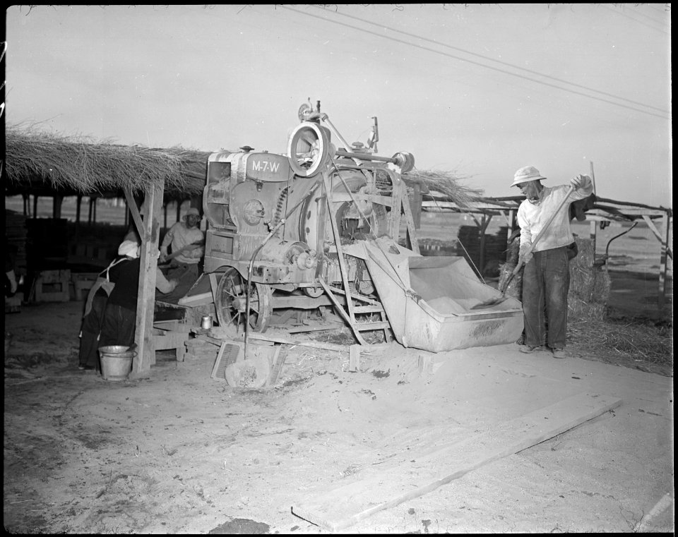 Poston, Arizona. Adobe factory. Mixing mud and straw in a concrete mixer. - NARA - 536672