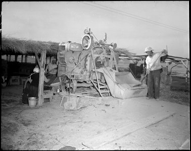Poston, Arizona. Adobe factory. Mixing mud and straw in a concrete mixer. - NARA - 536672