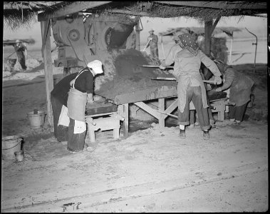 Poston, Arizona. Adobe factory. Women workers scraping mortar into adobe frames. - NARA - 536674