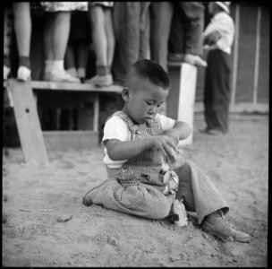 Poston, Arizona. A small evacuee of Japanese ancestry amuses himself while his parents are entertai . . . - NARA - 538556 photo