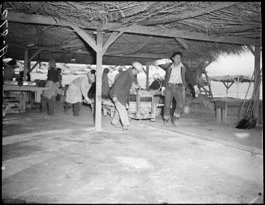 Poston, Arizona. Adobe factory. Wheeling adobe bricks from stand to drying racks in the sun. - NARA - 536675