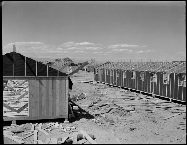 Poston, Arizona. Construction continues on the War Relocation Authority center for evacuees of Japa . . . - NARA - 537419 photo