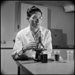 Poston, Arizona. Doctor George S. Kido, PhD from the University of California, and developer of a m . . . - NARA - 537109