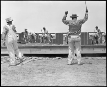 Poston, Arizona. Construction of buildings for evacuees of Japanese ancestry at this War Relocation . . . - NARA - 536294