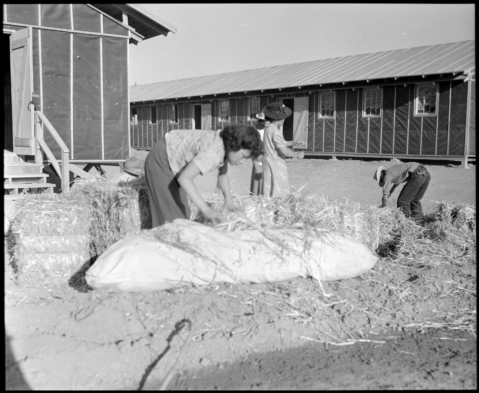 Poston, Arizona. Evacuees of Japanese ancestry are filling straw ticks for mattresses after arrival . . . - NARA - 536114