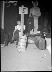 Poston, Arizona. Evacuees of Japanese ancestry arriving at this War Relocation Authority center. - NARA - 536291