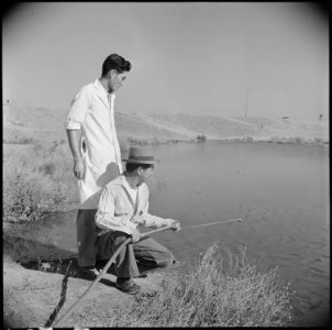 Poston, Arizona. Doctor George S. Kido, PhD from the University of California, is shown supervising . . . - NARA - 537111