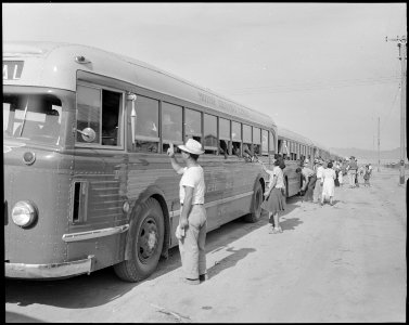 Poston, Arizona. Buses arrive bringing evacuees of Japanese ancestry to this War Relocation Authori . . . - NARA - 536310 photo