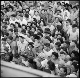 Poston, Arizona. Evacuees of Japanese ancestry watching an outdoor musical performance at this War . . . - NARA - 538560