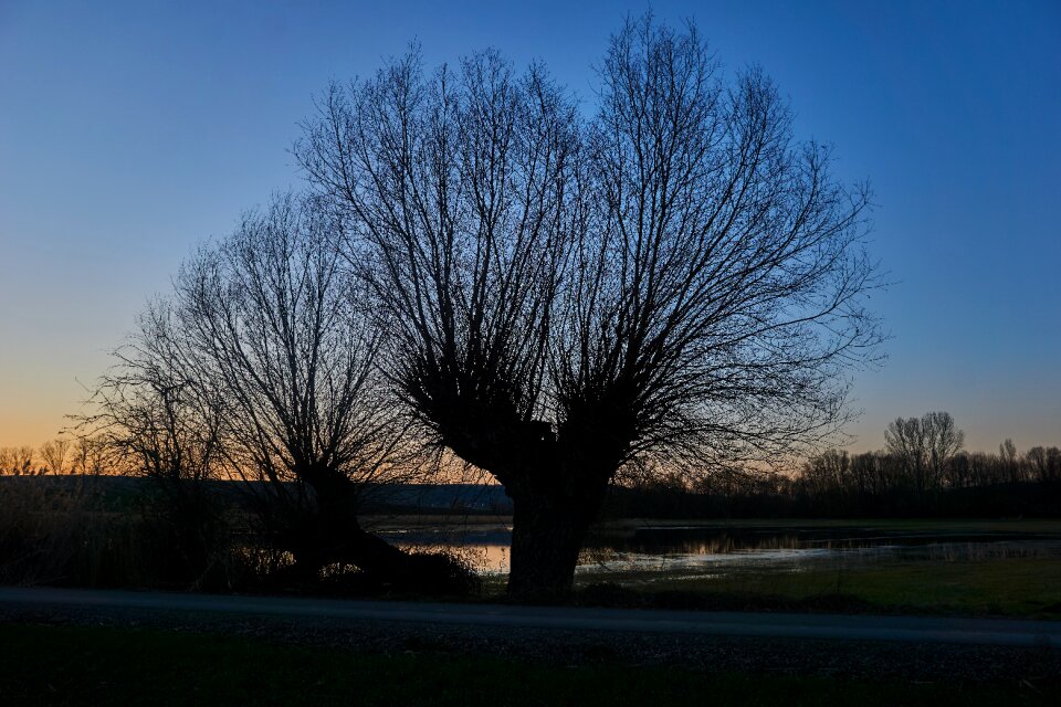 Dawn horizontal autumn