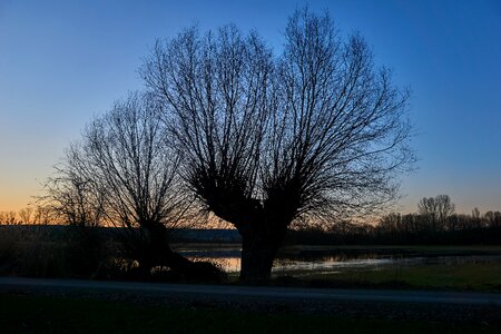 Dawn horizontal autumn