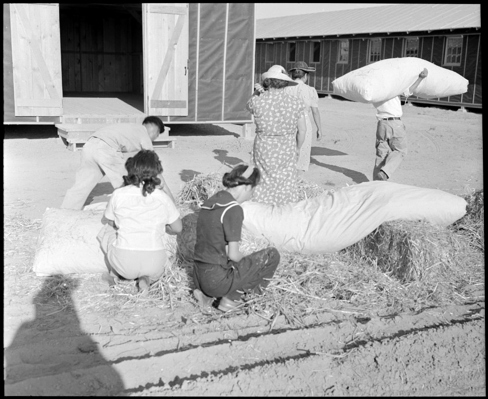 Poston, Arizona. Evacuees of Japanese ancestry are filling straw ticks for mattresses upon arrival . . . - NARA - 536112
