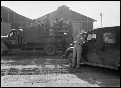Poston, Arizona. Evacuees are brought in by car and truck from the train to this War Relocation Aut . . . - NARA - 536134