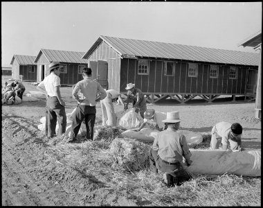 Poston, Arizona. Evacuees of Japanese ancestry are filling their ticks with straw for mattresses up . . . - NARA - 536111 photo