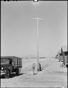 Poston, Arizona. High tension poles being installed at this War Relocation Authority center for eva . . . - NARA - 536150