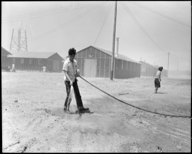 Poston, Arizona. Jim Morikawa sprinkling in an attempt to settle the dust at this War Relocation Au . . . - NARA - 536133