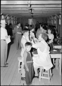 Poston, Arizona. Evacuees of Japanese ancestry are given a preliminary medical examination upon arr . . . - NARA - 536090 photo
