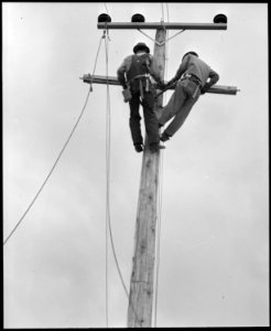 Poston, Arizona. Light poles and wiring for electric lighting are being installed at this War Reloc . . . - NARA - 536316