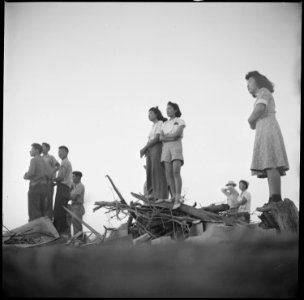 Poston, Arizona. Evacuees of Japanese ancestry watching an outdoor musical performance by evacuees . . . - NARA - 538558 photo