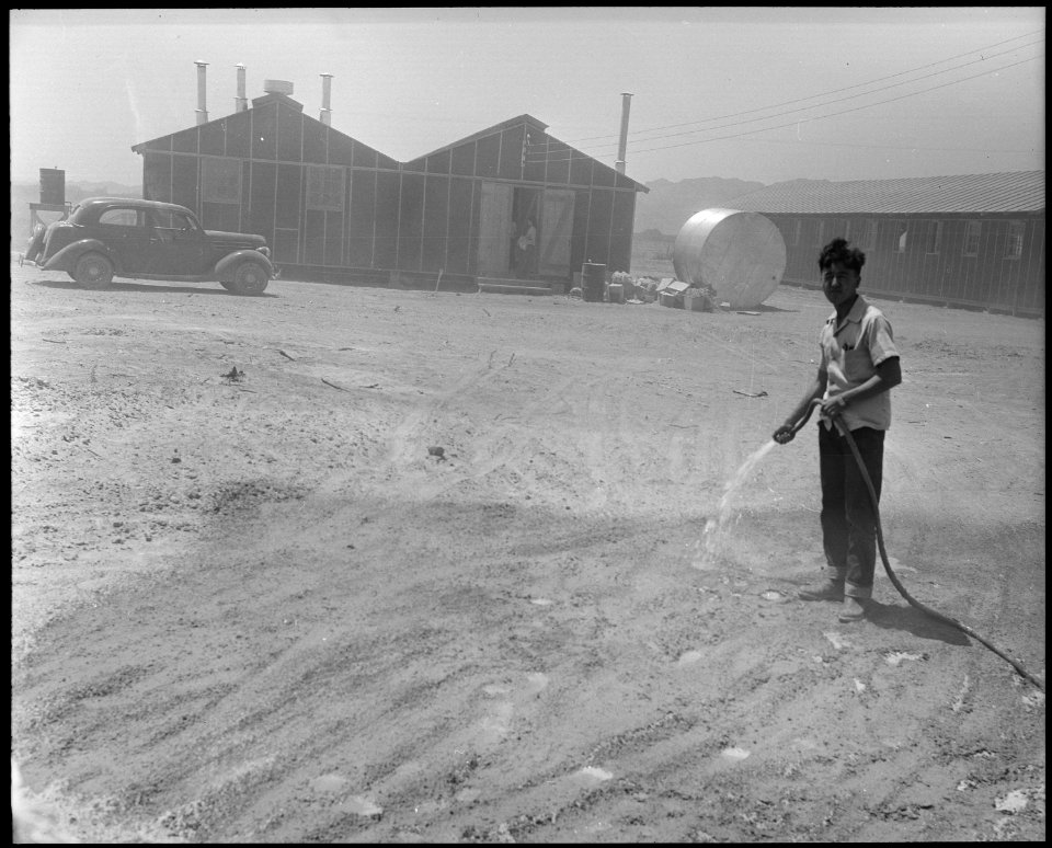 Poston, Arizona. Jim Morikawa sprinkling to settle the dust at this War Relocation Authority center . . . - NARA - 536131