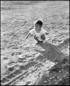 Poston, Arizona. Little evacuee playing in the desert sand at this War Relocation Authority center . . . - NARA - 536107