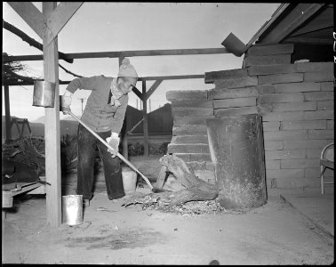 Poston, Arizona. New Year's Fair. A kitchen in the fair area served pie and tea to visitors to thi . . . - NARA - 536661