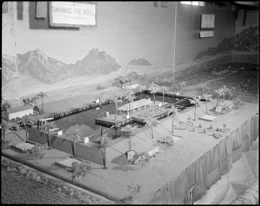 Poston, Arizona. New Year's Fair. Model of proposed swimming pool. This model was built by evacuee . . . - NARA - 536662