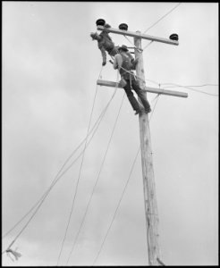Poston, Arizona. Light poles and wiring for electric lighting are being installed at this War Reloc . . . - NARA - 536314
