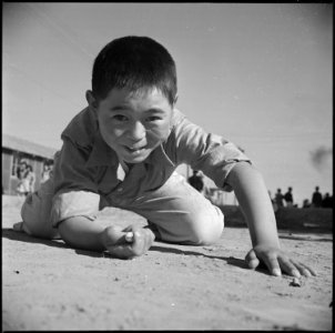 Poston, Arizona. New Years Fair marble champ, Jerry Osumi, age 11. - NARA - 536609