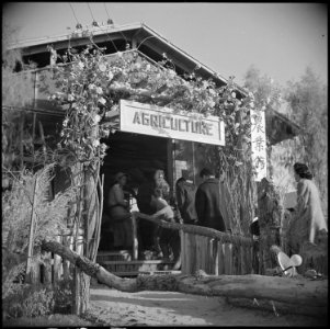 Poston, Arizona. New Years Fair. Crowds entering agricultural exhibit. - NARA - 536616