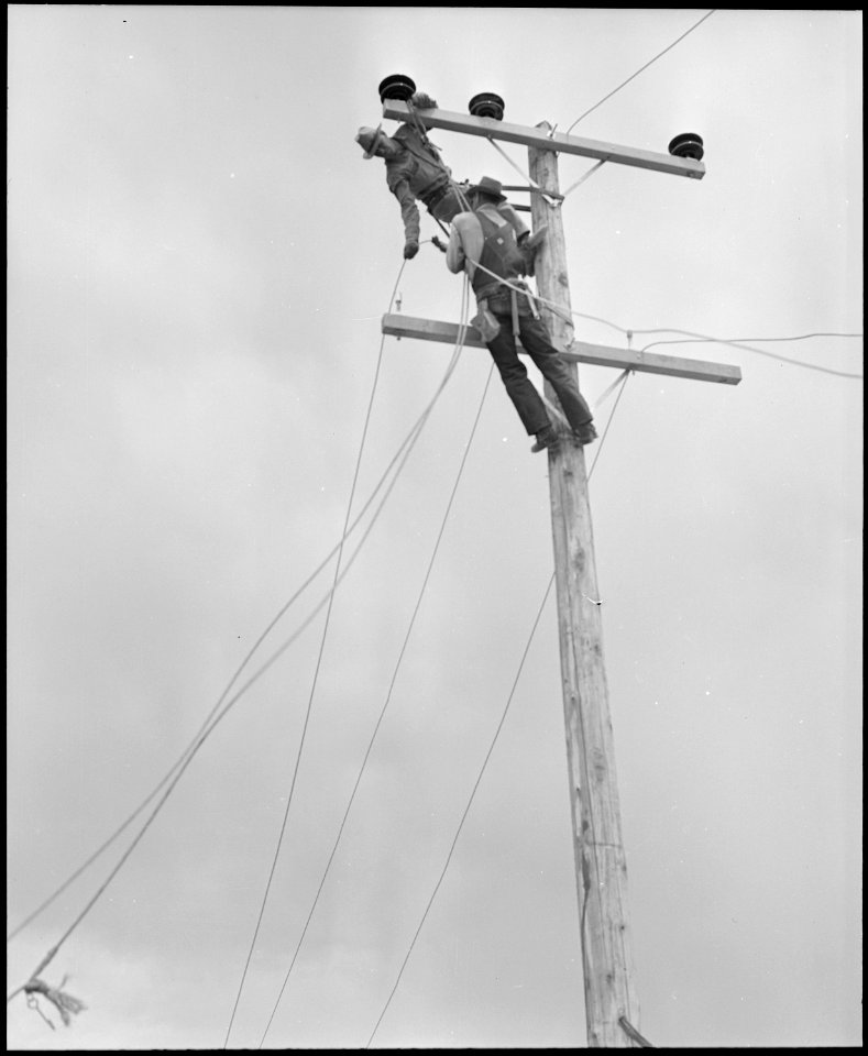 Poston, Arizona. Light poles and wiring for electric lighting are being installed at this War Reloc . . . - NARA - 536314