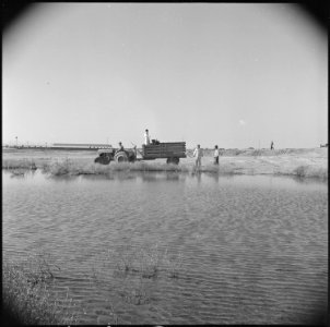 Poston, Arizona. Mosquito control crew at work treating a pond in the campaign to rid Poston of the . . . - NARA - 537112