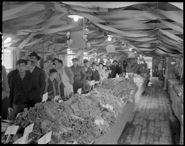 Poston, Arizona. New Year's Fair. View of throngs which viewed home grown vegetables on display . . . - NARA - 536666