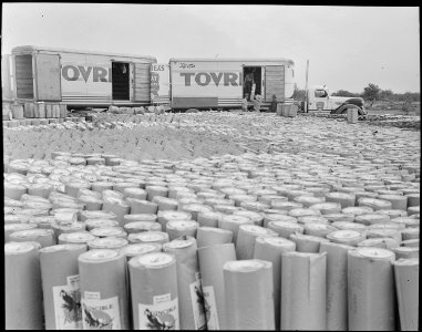 Poston, Arizona. Roofing materials which will be used in the construction of living quarters for ev . . . - NARA - 536327 photo