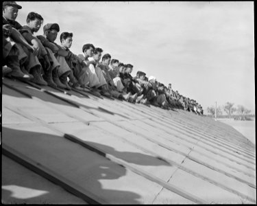 Poston, Arizona. New Year's Fair. Part of a large crowd which witnessed a basketball game found r . . . - NARA - 536668