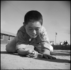 Poston, Arizona. New Years Fair narble champ, Jerry Osumi, age 11. - NARA - 536610