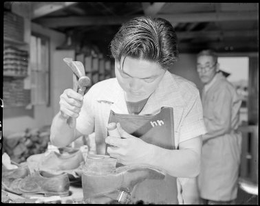 Poston, Arizona. Shoe Repair shop - NARA - 536656