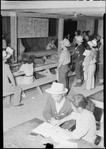 Poston, Arizona. Evacuees of Japanese ancestry registering at this War Relocation Authority center. . . . - NARA - 536305 photo