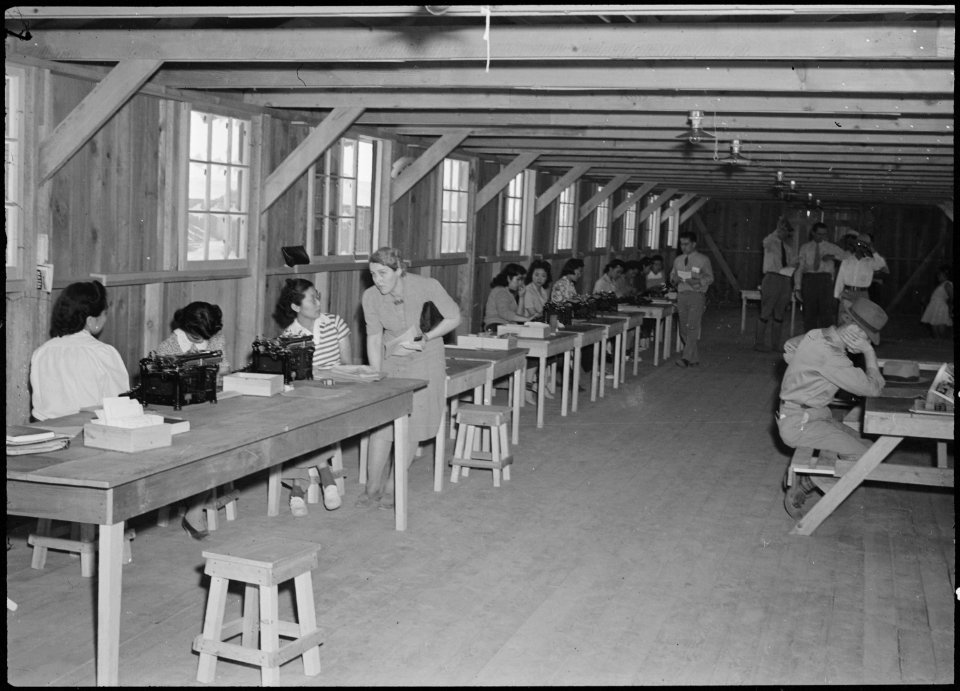 Poston, Arizona. Organizing first office force consisting of evacuee girls. - NARA - 536325
