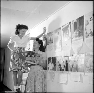 Poston, Arizona. Rose Yamada and Mitsuye Ohye look wistfully at War Relocation Authority photograp . . . - NARA - 539879 photo