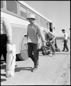 Poston, Arizona. Site Number 1. Caucasian employees assist evacuees with the unloading of their bag . . . - NARA - 536077