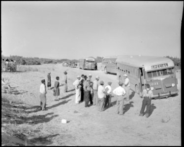 Poston, Arizona. The bus in the foreground is stuck in the sand while on its way to the Colorado Ri . . . - NARA - 536105 photo