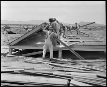 Poston, Arizona. Barrack- living quarters being constructed for evacuees of Japanese ancestry at t . . . - NARA - 536297 photo