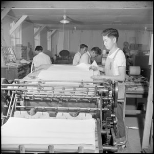 Poston, Arizona. Tamio Yamada, former student in press work at the Frank Wiggins Trade School in Lo . . . - NARA - 537114